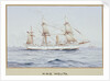 HMS 'Melita' by G. D'Esposito