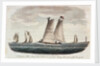 A Virginia pilot-boat with a distant view of Cape Henry at the entrance of the Chesapeake by G. T.