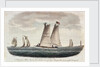 A Virginia pilot-boat with a distant view of Cape Henry at the entrance of the Chesapeake by G. T.