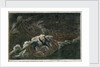 The 'Melancholy' shipwreck & death of Lord Royston by unknown
