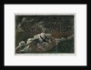The 'Melancholy' shipwreck & death of Lord Royston by unknown