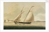 American pilot boat by unknown