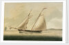 American pilot boat by unknown