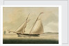 American pilot boat by unknown