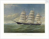 M.P. Grace by J. Witham