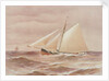 'Vanduara' under way by Henry Shields