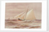 'Vanduara' under way by Henry Shields