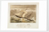 The H.E.I. Cos: Steamer Pluto John Tudor, Lieutenant Commander, R.N on her Voyage to China, 1842 by unknown