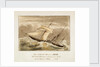 The H.E.I. Cos: Steamer Pluto John Tudor, Lieutenant Commander, R.N on her Voyage to China, 1842 by unknown
