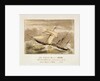 The H.E.I. Cos: Steamer Pluto John Tudor, Lieutenant Commander, R.N on her Voyage to China, 1842 by unknown