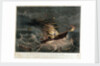 Destruction of the mail steamer 'Amazon' by Read & Co
