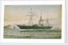 SS 'Damascus' by C. Kensington