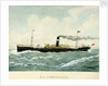 S.S. 'Commonwealth' by Blanchard