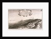 Prospect of y North side of Tangier regarding the mayne sea from the hill as you come from Whitby or the west, toward the Towne by Wenceslaus Hollar