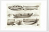 Jolly boat for oars or sail by Robert Pollard