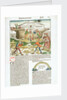 Page from 'The Nuremberg Chronicle' by Hartmann Schedel, depicting wooden shipbuilding in progress by Michael Wolgemut