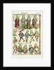 The Nuremberg Chronicle by Hartmann Schedel by Michael Wolgemut