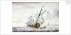 A Dutch Yacht beating out of a harbour off Kampsen by Wigerus Vitringa