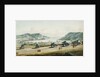 View of St. John's, Newfoundland from Fort Townsend by George Bulteel Fisher