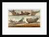 Dover Aug 1815 by William Payne