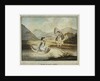 'Welsh Corricles': two young gentlemen take to the water in their coracles by WAE