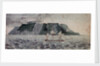 Island of Tristan de Cunha by British School