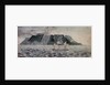 Island of Tristan de Cunha by British School