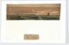 Cape Trafalgar by Percy W. Justyne