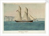 HM Schooner 'Beagle', 120 tons by Lieutenant Francis H. Boyer