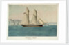 HM Schooner 'Beagle', 120 tons by Lieutenant Francis H. Boyer