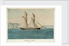 HM Schooner 'Beagle', 120 tons by Lieutenant Francis H. Boyer