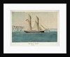 HM Schooner 'Beagle', 120 tons by Lieutenant Francis H. Boyer