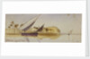 Geiada, Egypt by Edward Lear