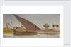 The banks of the Nile with a large gyassi passing by by Edward Lear