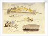 Five sketches of Luxor, Egypt by Edward Lear
