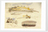 Five sketches of Luxor, Egypt by Edward Lear