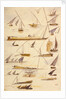 Studies of various Egyptian craft by Edward Lear
