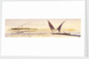 Opposite Abousnegarbv, Egypt by Edward Lear