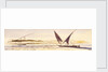 Opposite Abousnegarbv, Egypt by Edward Lear