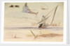 Studies on the Nile by Edward Lear