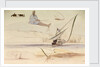 Studies on the Nile by Edward Lear