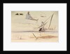Studies on the Nile by Edward Lear
