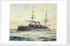 Pelorus class cruiser 1895 by William C. Cluett