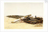 Wreck of the 'Ellen Southard' lying on Crosby Sands, 11 October 1875 by G.S. Walters