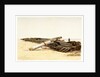 Wreck of the 'Ellen Southard' lying on Crosby Sands, 11 October 1875 by G.S. Walters