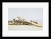 Wreck of the Ellen Southard lying on Crosby Sands, 13 October 1875 by G.S. Walters