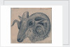 Study of the head of a ram by Edward William Cooke
