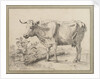 Study of a cow, after Paul Potter by Edward William Cooke