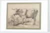 Study of a cow, after Paul Potter by Edward William Cooke