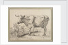 Study of a cow, after Paul Potter by Edward William Cooke